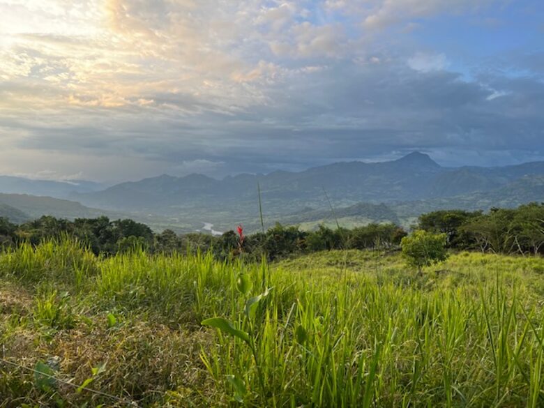 La Toscana, Medellin Colombia - Medellin, Colombia