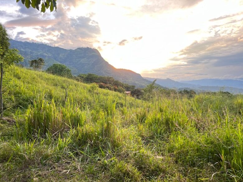 La Toscana, Medellin Colombia - Medellin, Colombia