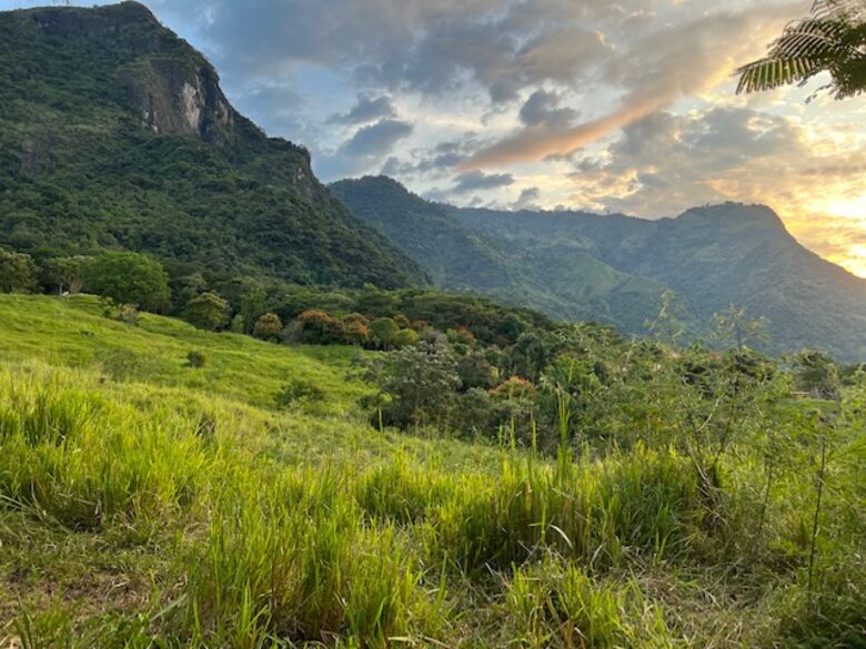 La Toscana, Medellin Colombia - Medellin, Colombia