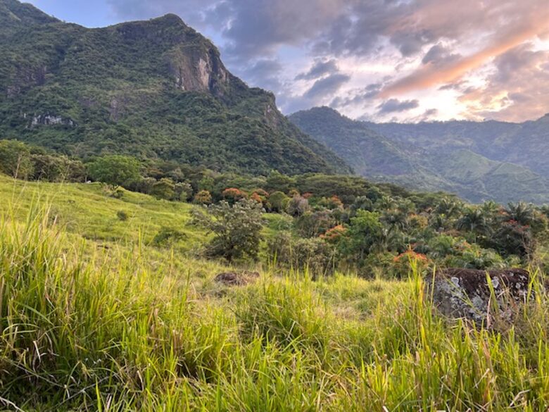 La Toscana, Medellin Colombia - Medellin, Colombia