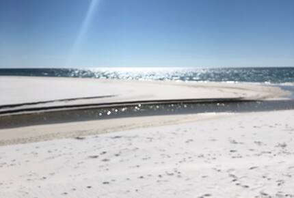 West Beach Cottage at Watersound - Santa Rosa Beach, Florida