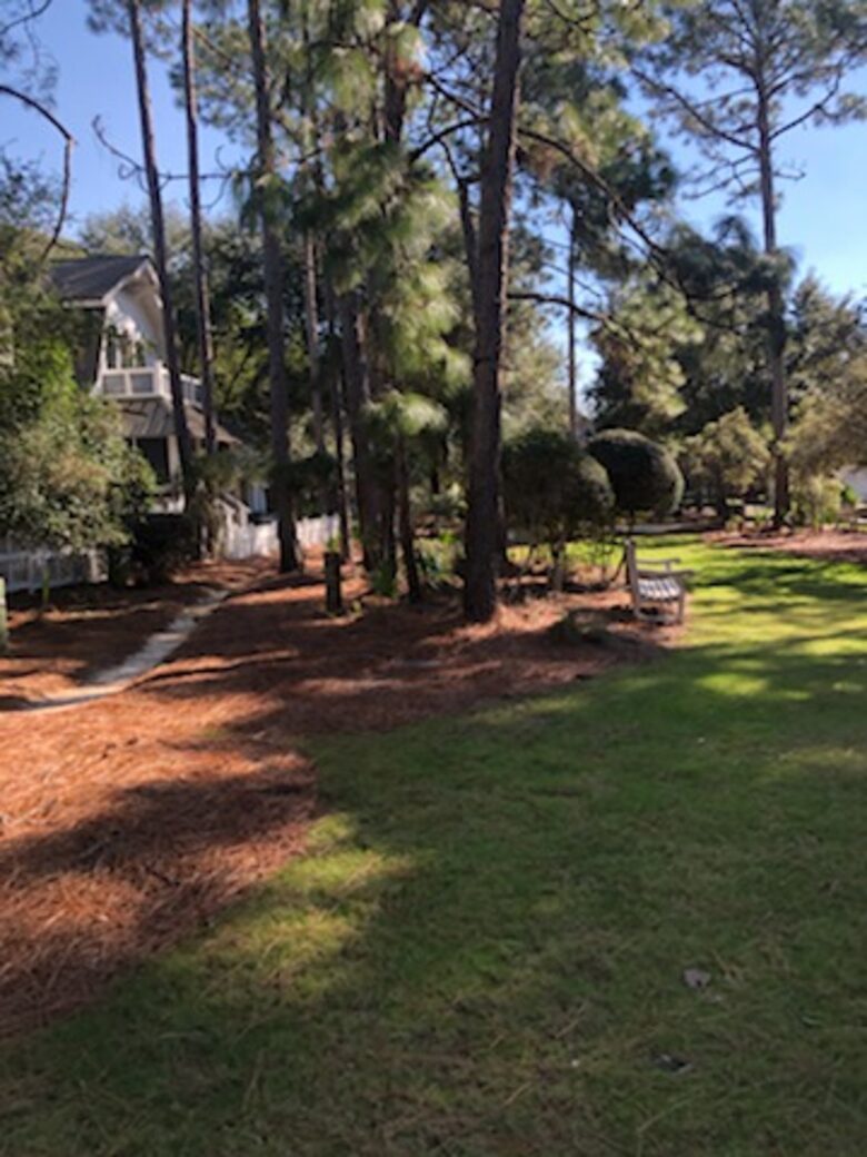 West Beach Cottage at Watersound - Santa Rosa Beach, Florida