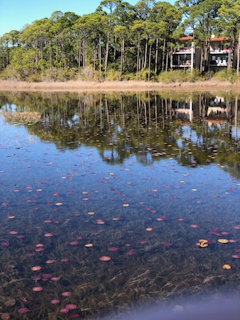 West Beach Cottage at Watersound - Santa Rosa Beach, Florida