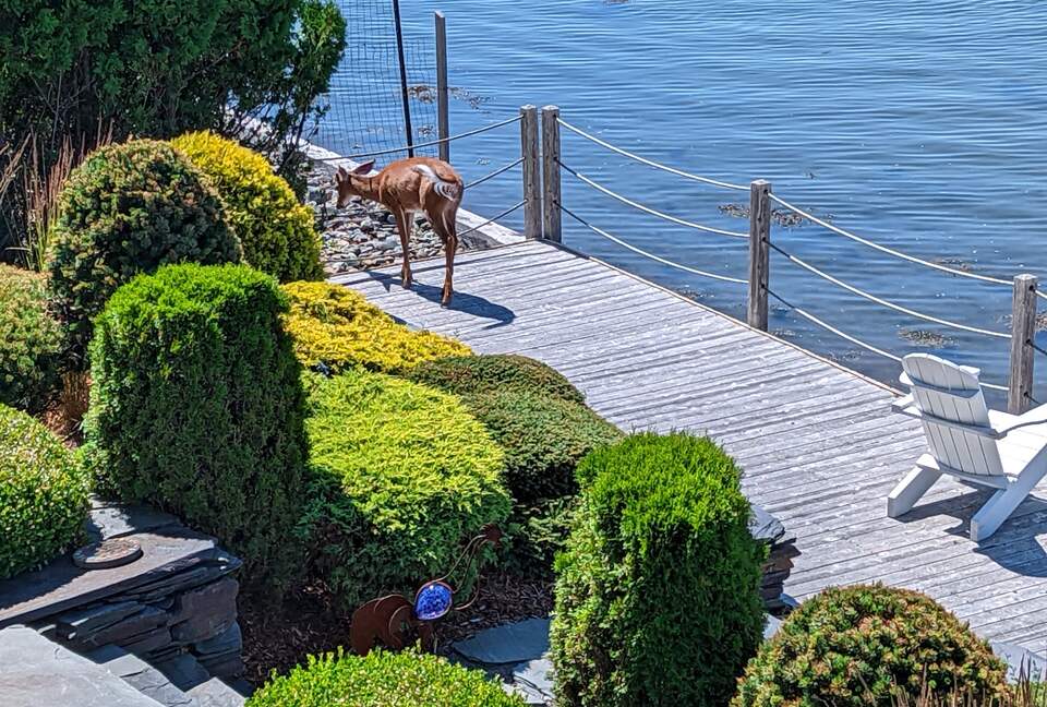 St. Andrews-by-the-Sea, Oceanfront, New Brunswick Canada - St. Andrews-by-the-Sea, Canada