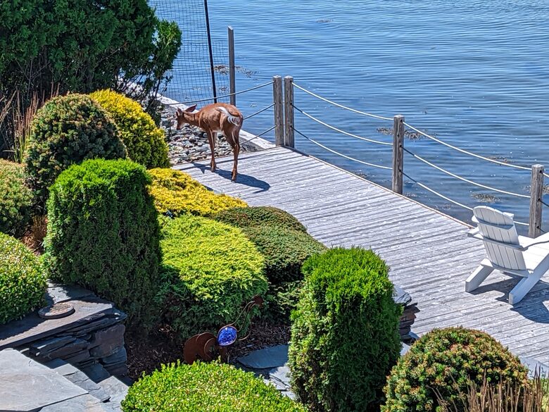 St. Andrews-by-the-Sea, Oceanfront, New Brunswick Canada - St. Andrews-by-the-Sea, Canada