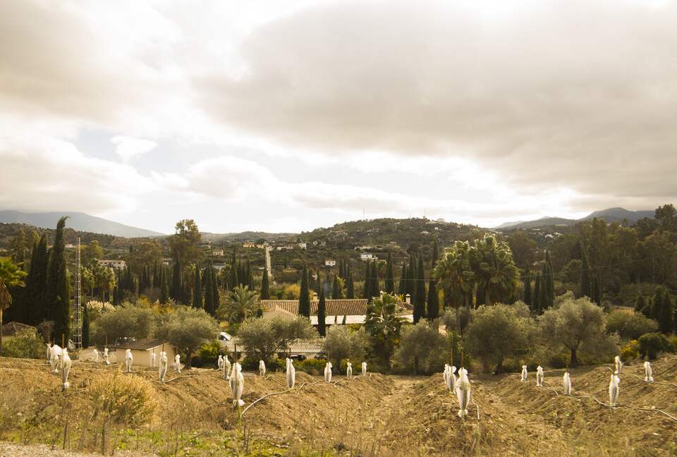 Finca La Cuadra - Coín, Spain