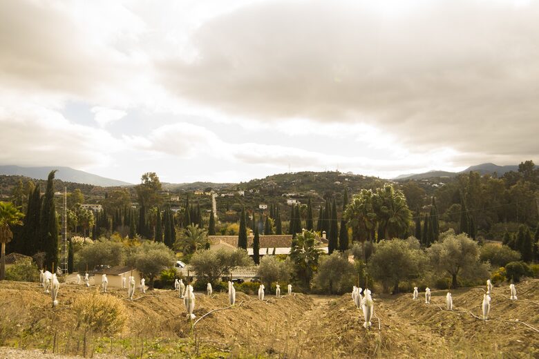 Finca La Cuadra - Coín, Spain