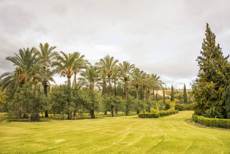 Finca La Cuadra - Coín, Spain
