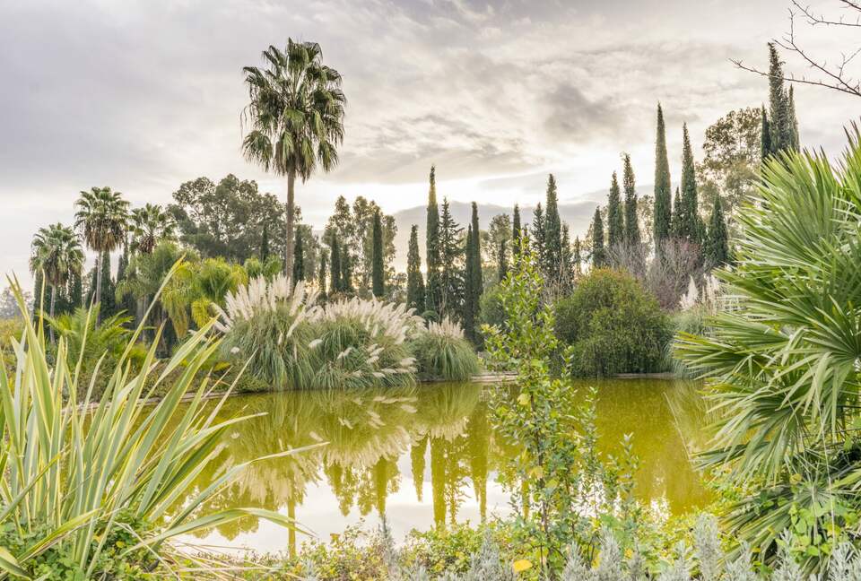 Finca La Cuadra - Coín, Spain