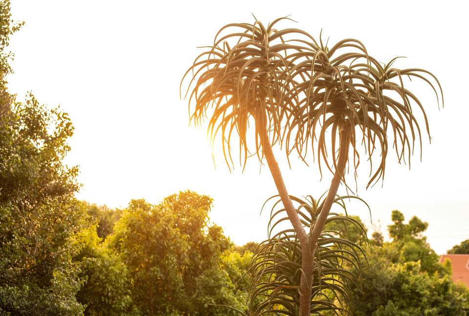 Zimbali Coastal Resort - Pelican View - Ballito, South Africa