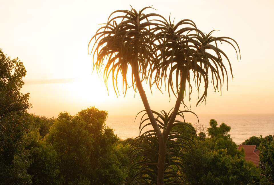 Zimbali Coastal Resort - Pelican View - Ballito, South Africa