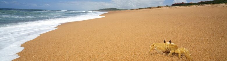 Zimbali Coastal Resort - Pelican View - Ballito, South Africa
