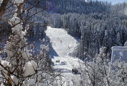 Edelweiss Chalet | Ski to Lift - Steamboat Springs, Colorado