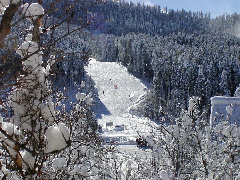 Edelweiss Chalet | Ski to Lift - Steamboat Springs, Colorado