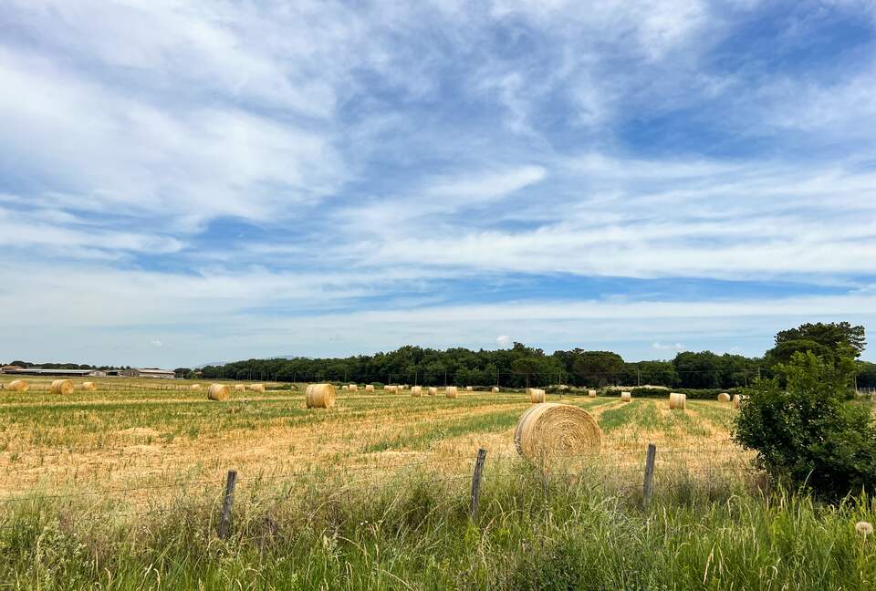 Villa San Lorenzo Umbrian Estate - Castiglione Del Lago, Italy