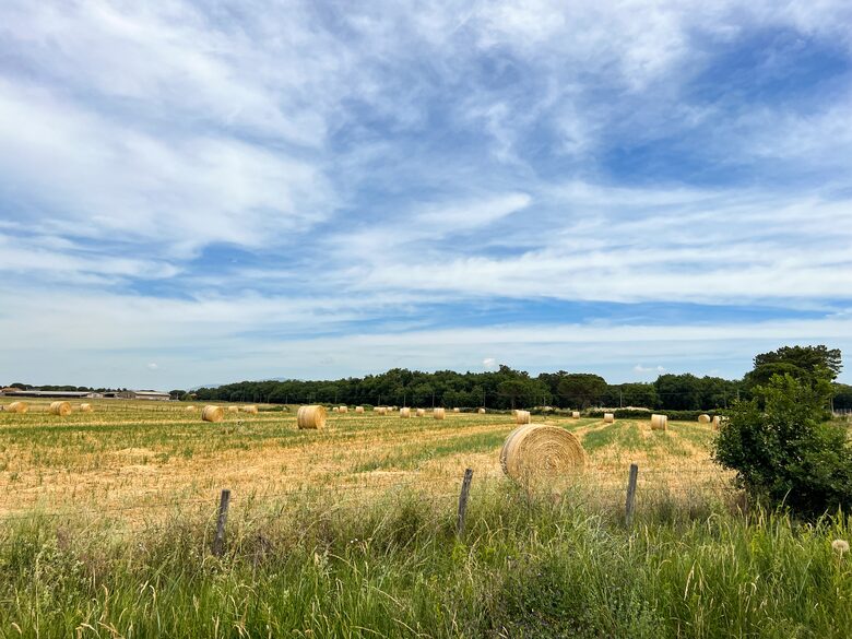 Villa San Lorenzo Umbrian Estate - Castiglione Del Lago, Italy