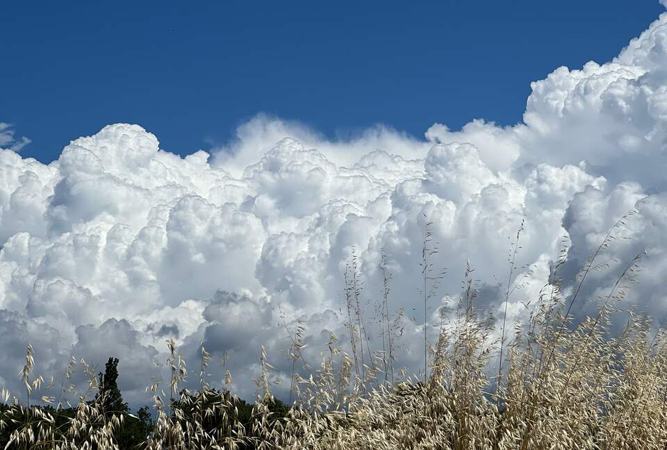Villa San Lorenzo Umbrian Estate - Castiglione Del Lago, Italy