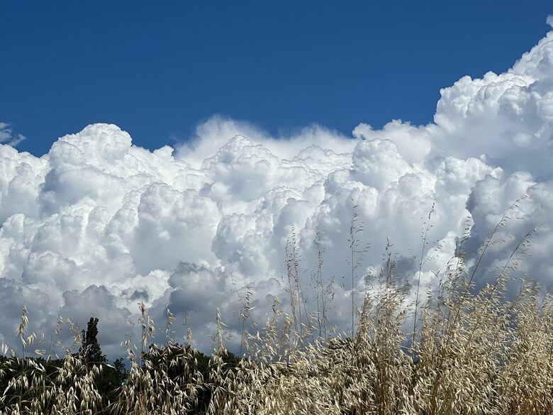 Villa San Lorenzo Umbrian Estate - Castiglione Del Lago, Italy