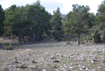 Collado Serrano - Puebla de Don Fadrique, Granada, Spain