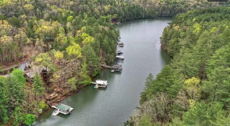 Stunning Modern Lakefront Retreat - Blue Ridge, Georgia