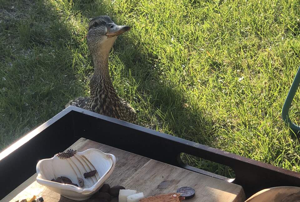 Sweeping Lake Views In the Wine Country - Kelowna, Canada