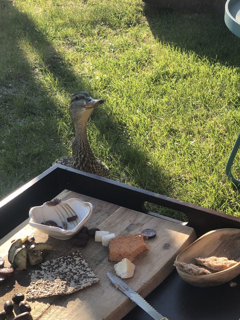 Sweeping Lake Views In the Wine Country - Kelowna, Canada