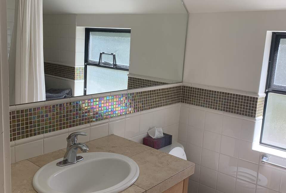 Upstairs bathroom. Soon to be renovated