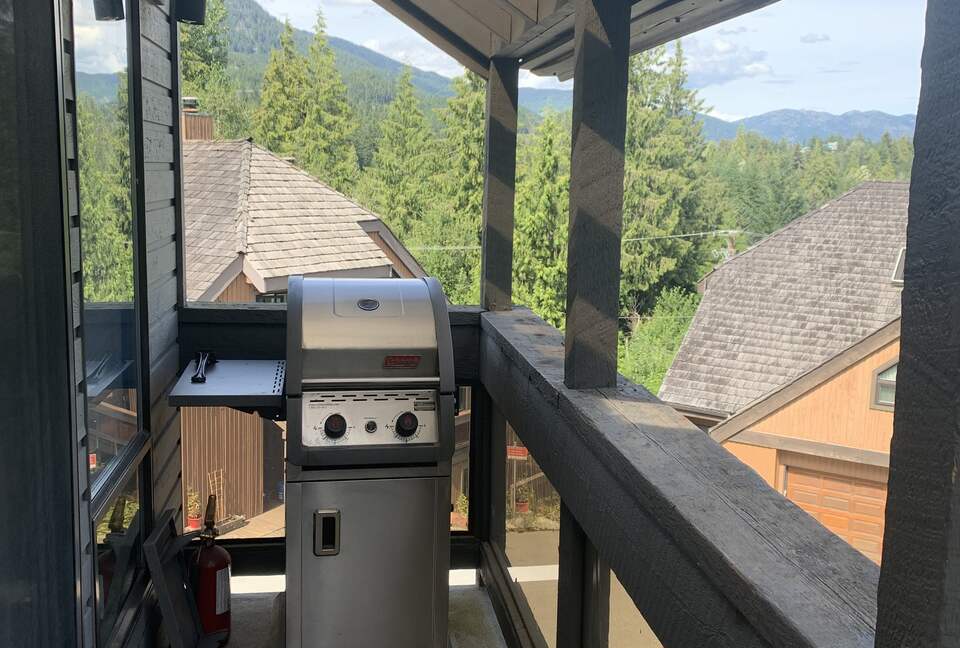 Side deck off dining area with BBQ