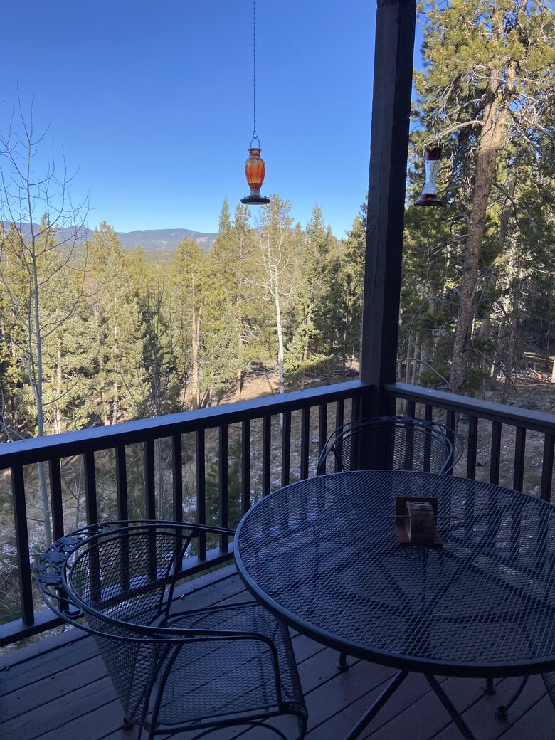 Exquisite Mountain Lodge with Stunning Views - Bailey, Colorado