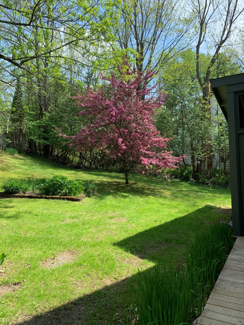 Gorgeous North Hatley Historic Retreat - North Hatley, Canada