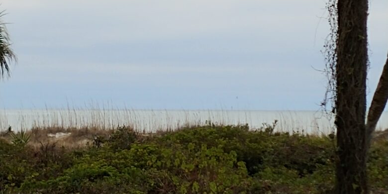 Relax and enjoy ocean front villa , private covered patio, 1st floor, no stairs - Hilton Head, South Carolina