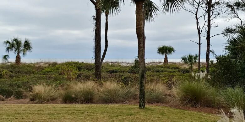 Relax and enjoy ocean front villa , private covered patio, 1st floor, no stairs - Hilton Head, South Carolina