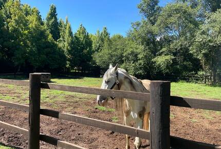 Casa Maderas - San Mateo Acatitlan VB C.P., Mexico