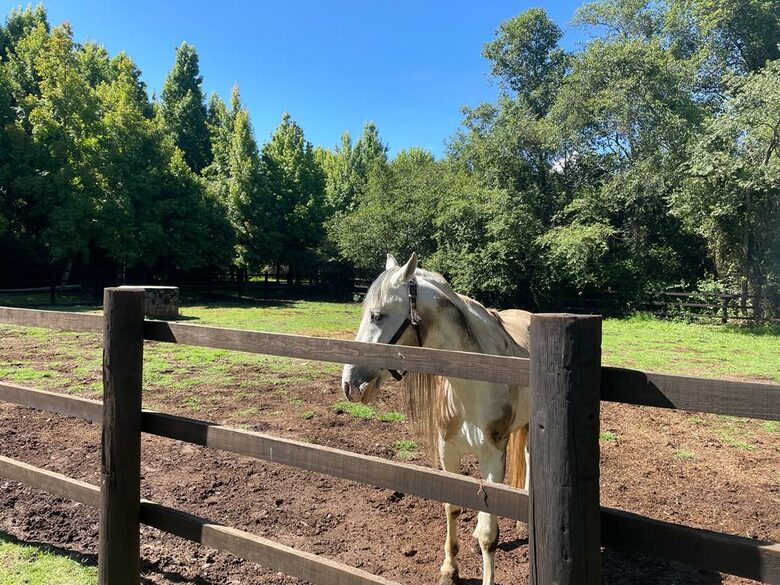 Casa Maderas - San Mateo Acatitlan VB C.P., Mexico