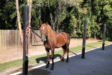 Casa Maderas - San Mateo Acatitlan VB C.P., Mexico