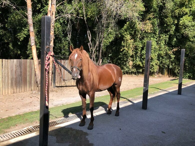 Casa Maderas - San Mateo Acatitlan VB C.P., Mexico