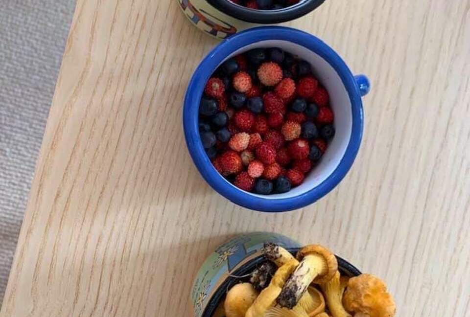 Bohemian Forest Paradise - Pohorská Ves, Czechia