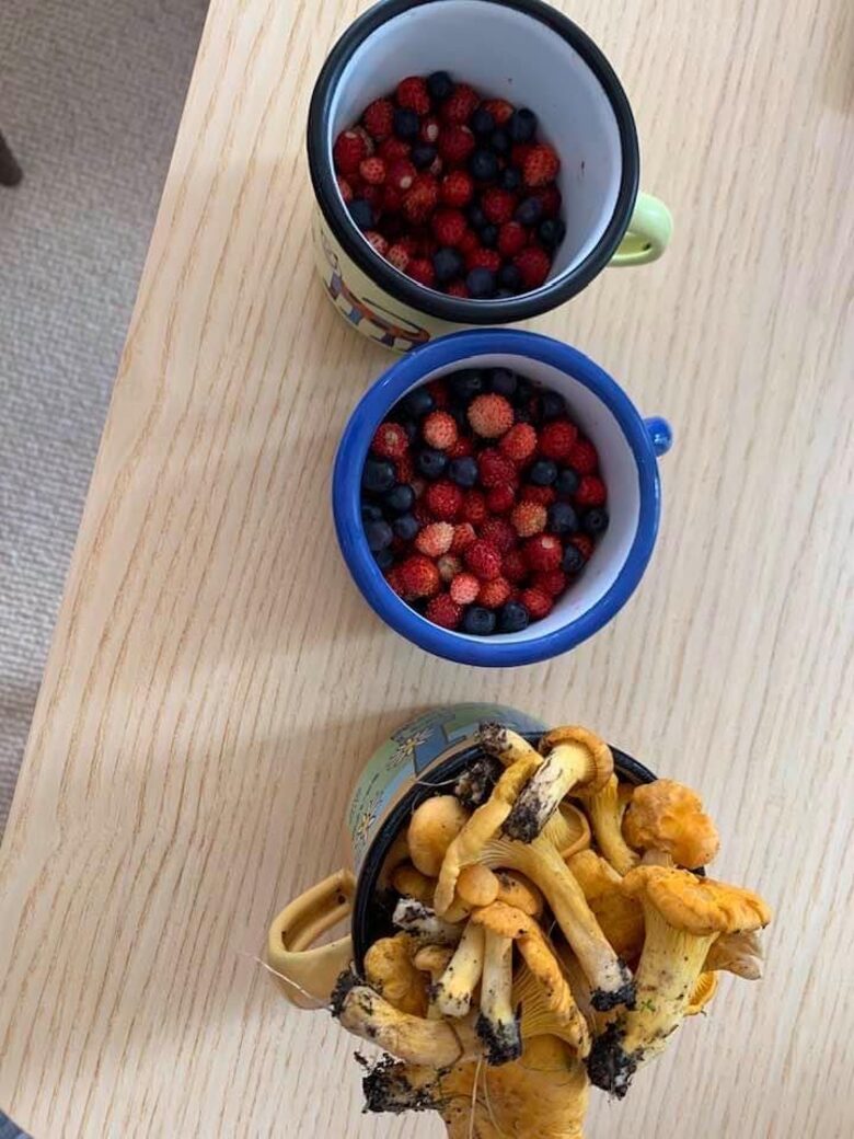 Bohemian Forest Paradise - Pohorská Ves, Czechia