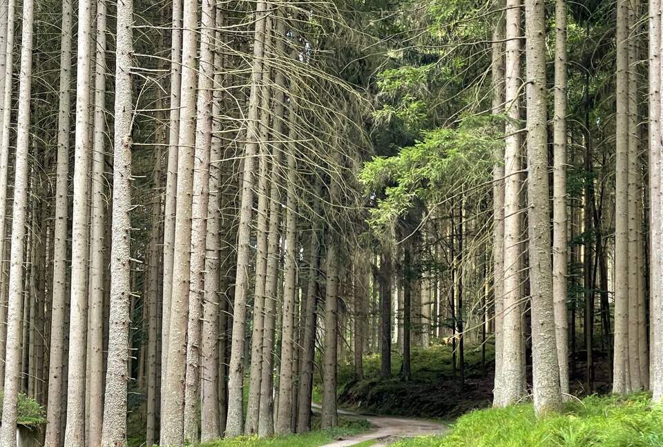 One of our local cycling paths