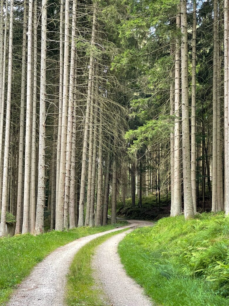 One of our local cycling paths