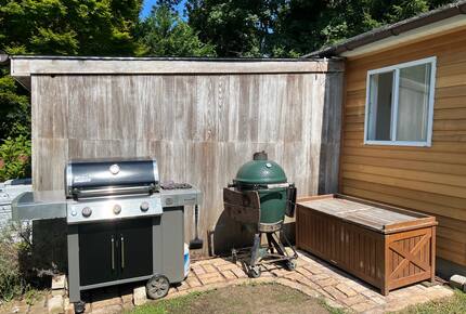 Gas and charcoal BBQ grills