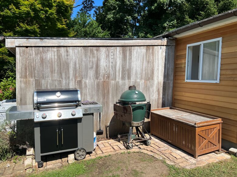 Gas and charcoal BBQ grills