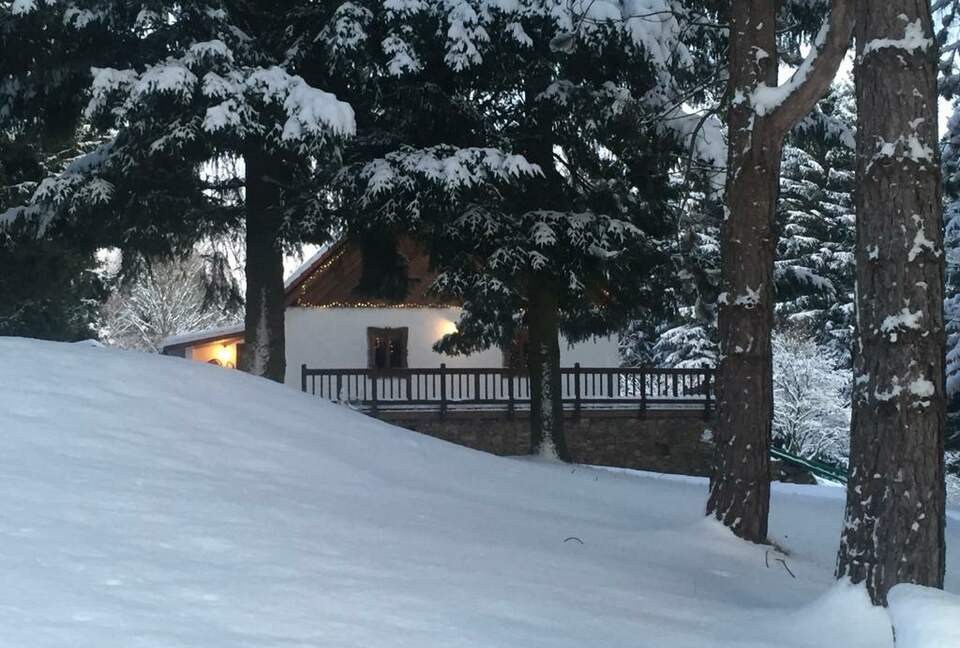Bohemian Forest Paradise - Pohorská Ves, Czechia