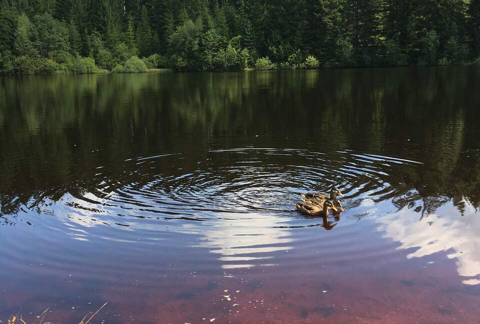 A nearby recreational fishing pond