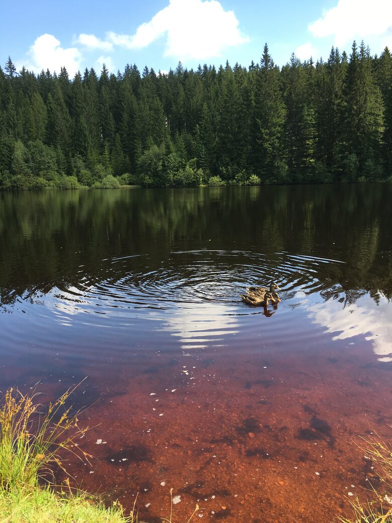 A nearby recreational fishing pond