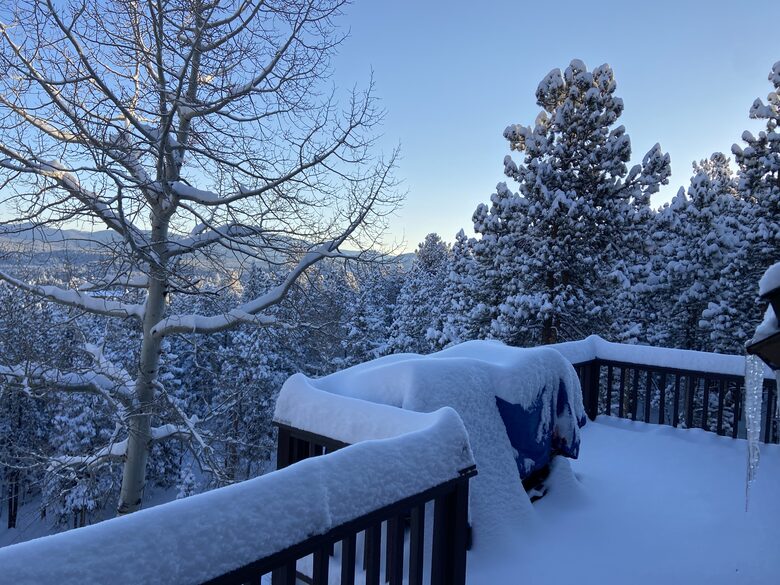 Exquisite Mountain Lodge with Stunning Views - Bailey, Colorado