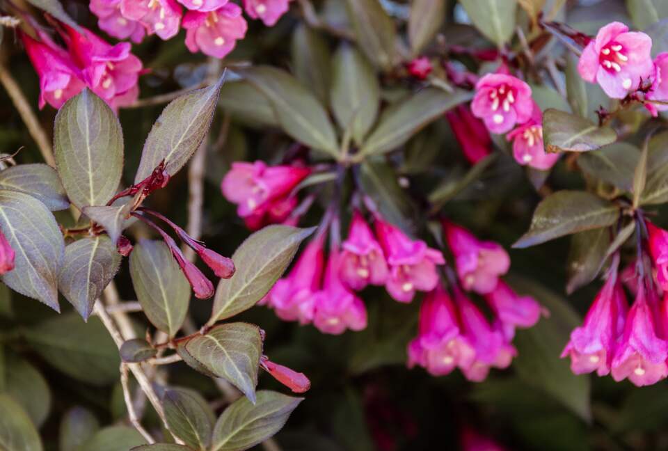 West Beach Family Compound on the CT Shoreline - Westbrook, Connecticut
