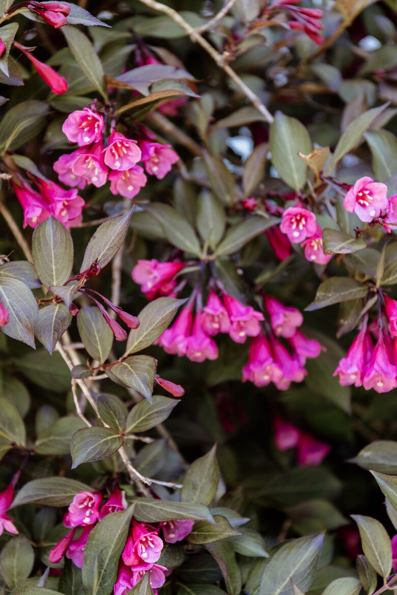 West Beach Family Compound on the CT Shoreline - Westbrook, Connecticut