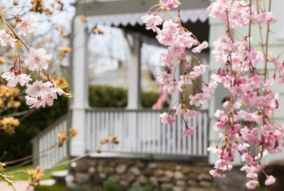 West Beach Family Compound on the CT Shoreline - Westbrook, Connecticut