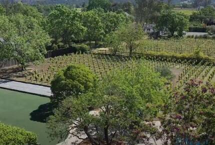 A Private Oasis with Pool, Vineyard, Hot Tub, Bocce & More - Sonoma, California